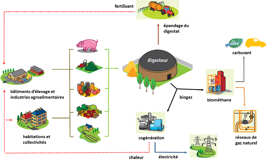 schéma méthanisation